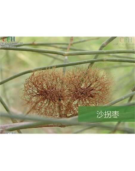 標題：名貴樹(shù)種
瀏覽次數：1032
發(fā)表時(shí)間：2020-10-17
